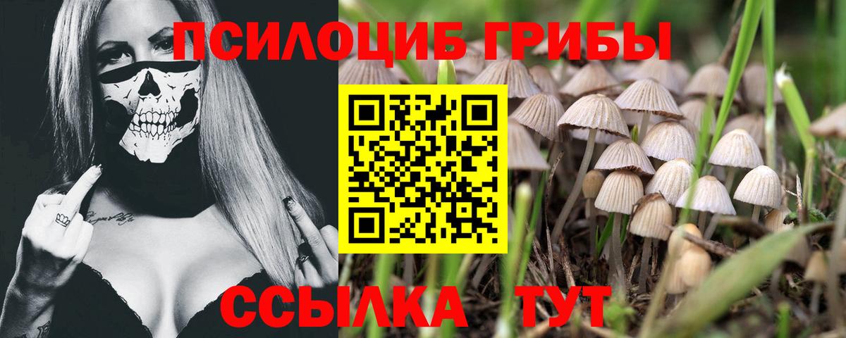 Галлюциногенные грибы MAGIC MUSHROOMS Солнечногорск