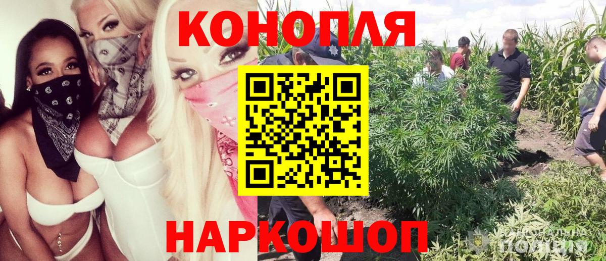 Каннабис MAZAR Солнечногорск